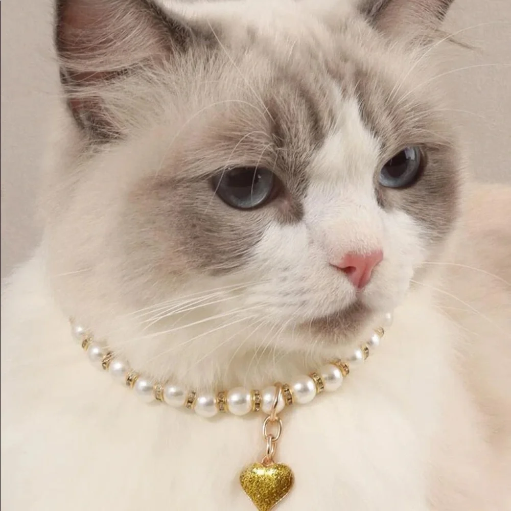 Heart Pendant Decor Pet Necklace 🐈